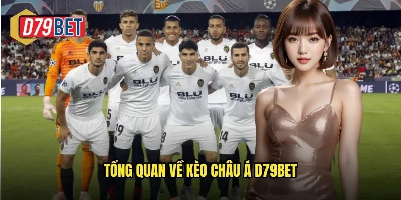 Tổng quan về kèo châu á d79bet