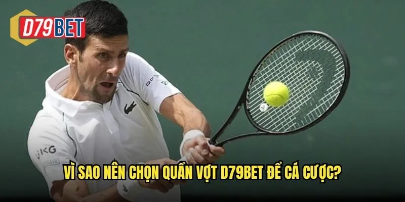 Vì sao nên chọn quần vợt d79bet để cá cược?